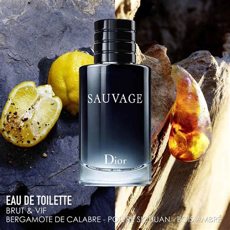 christian dior sauvage homme herren eau de toilette|Dior Sauvage for men 30ml.